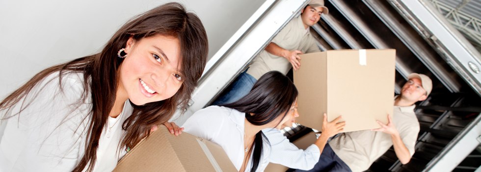Professional Removalists Nugent